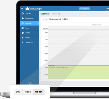 Multiple calendar views