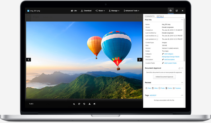 View files instantly without downloading