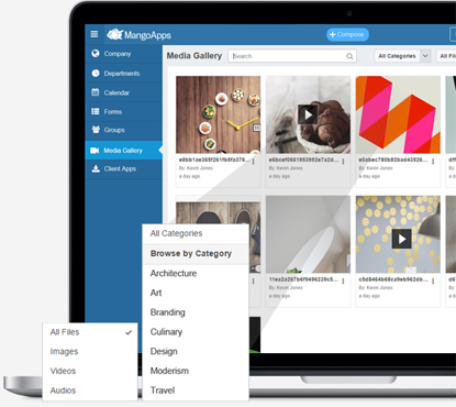 Automatically created & organized after upload