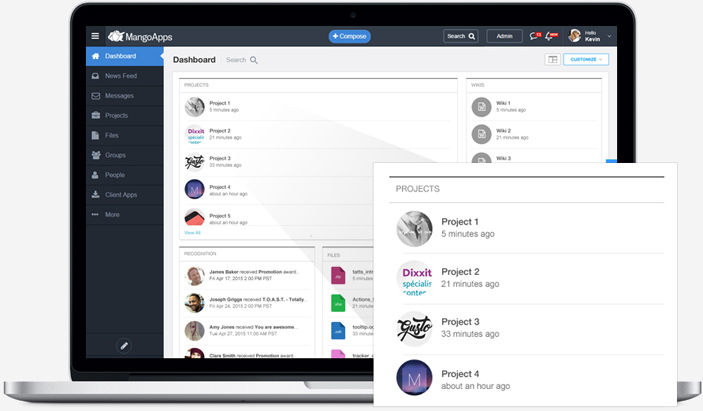 Project widgets on dashboard for direct access