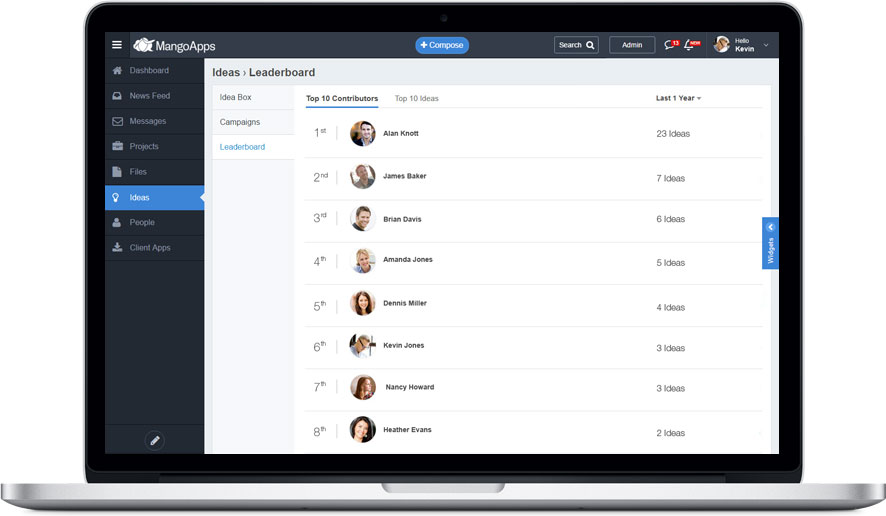 Idea leaderboards to showcase top ideas and top idea contributors