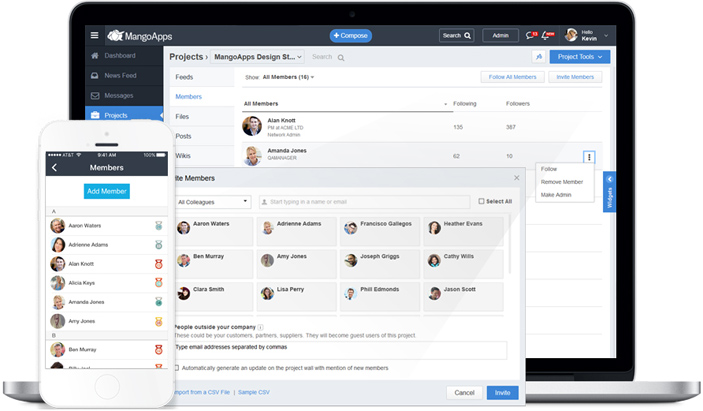 Upgrading project members to admins and inviting more members