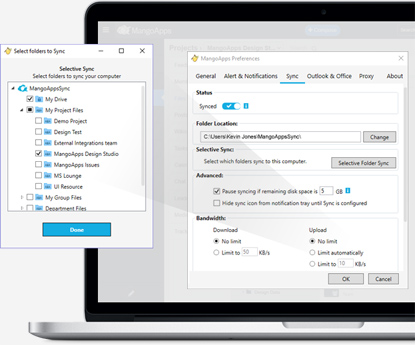 Selective sync at a team or folder level