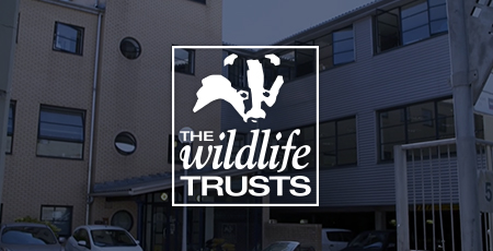Download Wildlife Trusts Case Study
