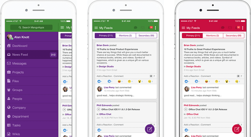 Your Company Branded iPhone Native App